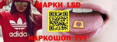 стаф Гатчина