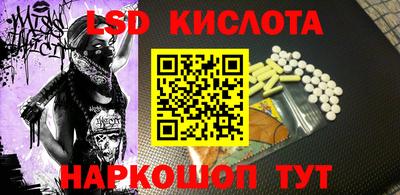 стаф Гатчина