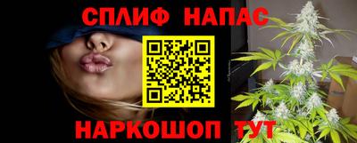 стаф Гатчина