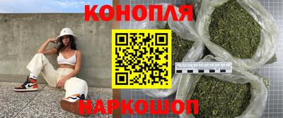 стаф Гатчина
