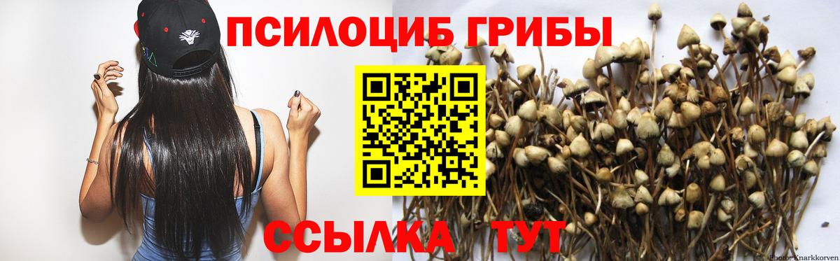 Галлюциногенные грибы Magic Shrooms Ессентуки