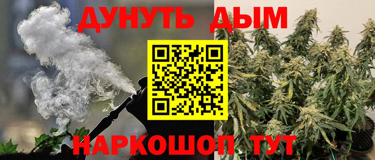 Шишки марихуана индика Ессентуки